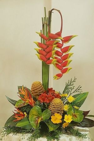 Image chosen by user