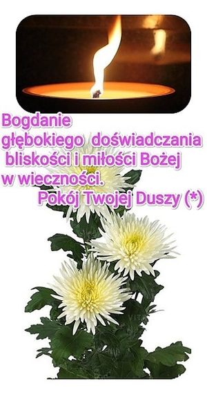 Obrazek wybrany przez użytkownika