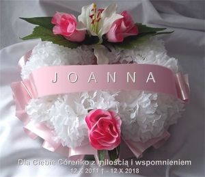 Image chosen by user