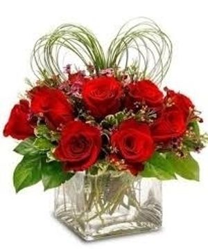 Image chosen by user