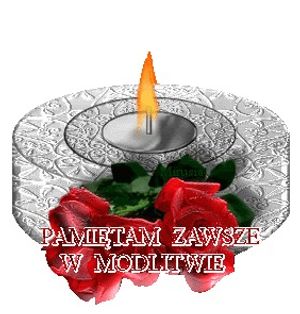 Obrazek wybrany przez użytkownika