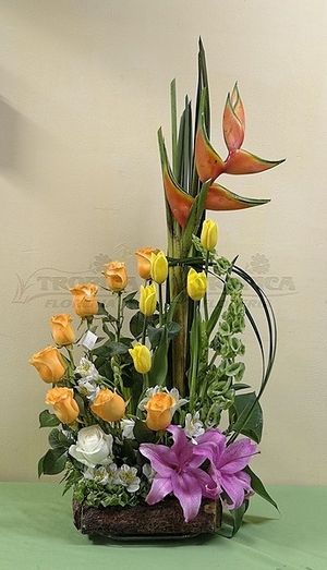 Image chosen by user