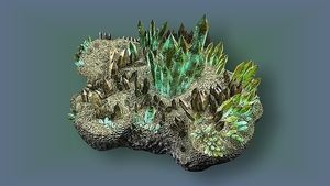 Image chosen by user