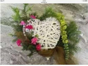 Image chosen by user