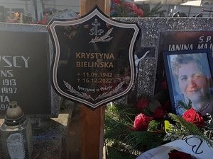 Obrazek wybrany przez użytkownika