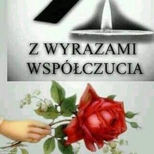 Obrazek wybrany przez użytkownika