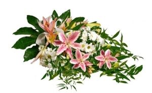 Image chosen by user