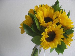 Image chosen by user