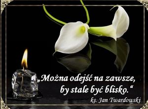 Obrazek wybrany przez użytkownika