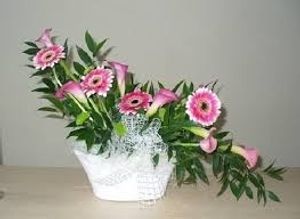 Image chosen by user
