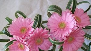 Image chosen by user