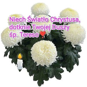 Obrazek wybrany przez użytkownika