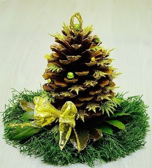 Image chosen by user