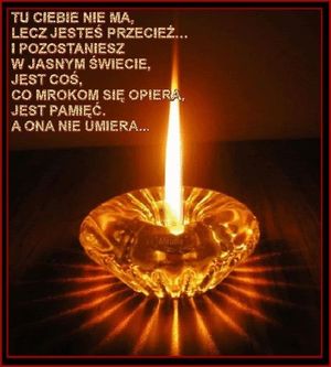 Obrazek wybrany przez użytkownika