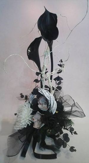 Image chosen by user