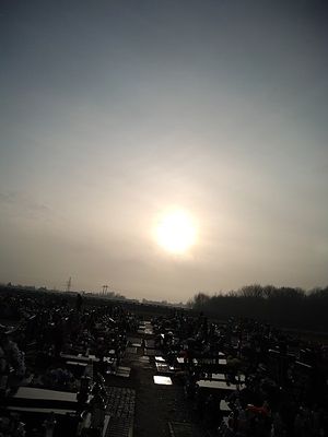 Image chosen by user