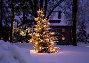 Image chosen by user
