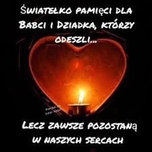 Obrazek wybrany przez użytkownika