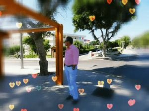 Image chosen by user