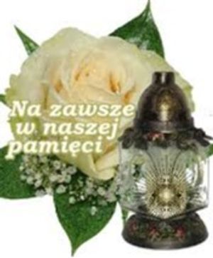Image chosen by user