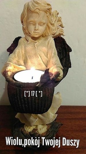 Image chosen by user