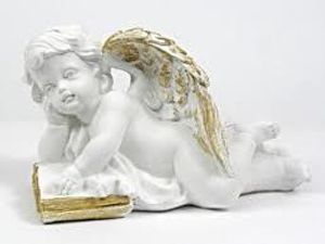 Image chosen by user