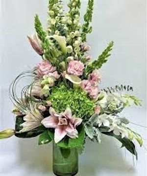 Image chosen by user
