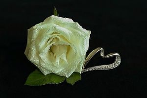 Image chosen by user