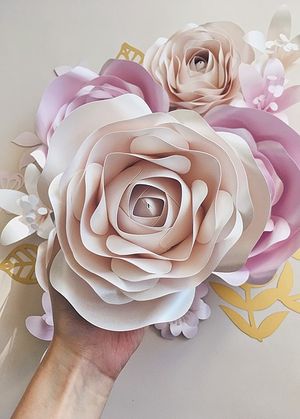 Image chosen by user