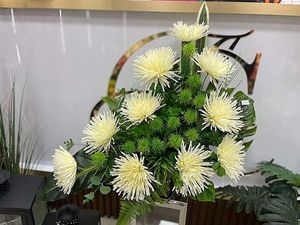 Image chosen by user
