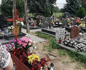 Obrazek wybrany przez użytkownika