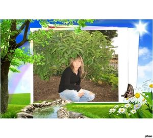 Image chosen by user