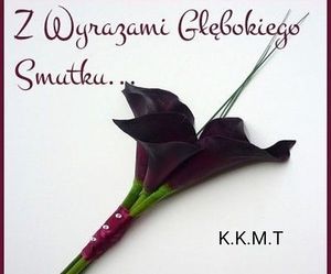 Obrazek wybrany przez użytkownika