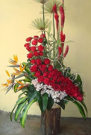 Image chosen by user