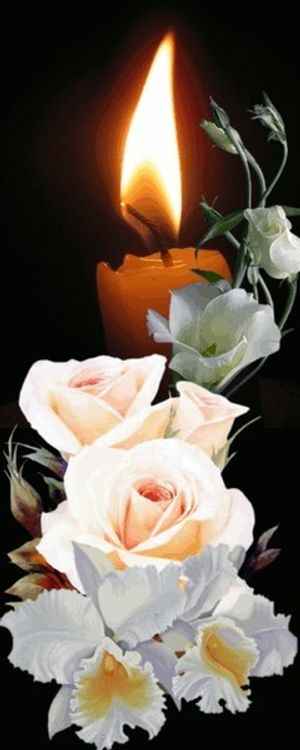 Image chosen by user