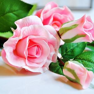 Image chosen by user