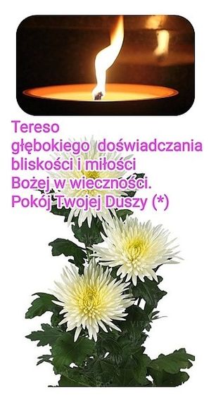 Obrazek wybrany przez użytkownika