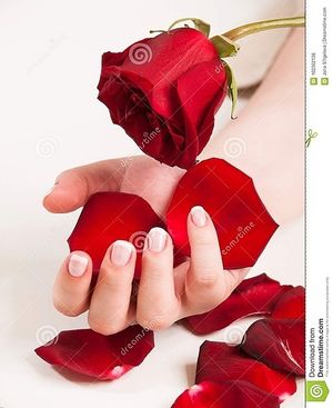 Image chosen by user