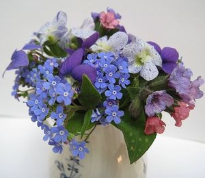 Image chosen by user