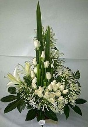 Image chosen by user
