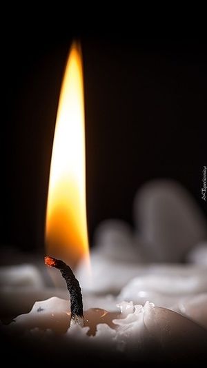 Image chosen by user