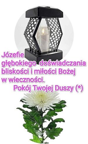 Obrazek wybrany przez użytkownika