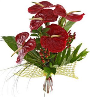 Image chosen by user