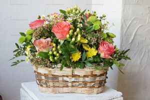 Image chosen by user