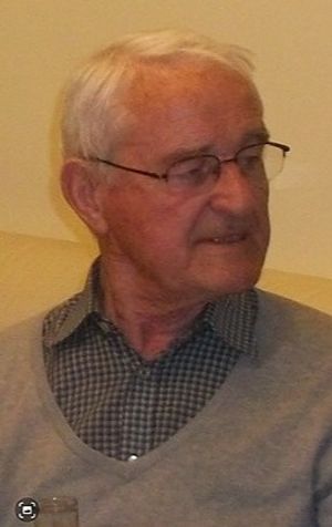 Obrazek wybrany przez użytkownika