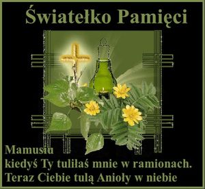 Obrazek wybrany przez użytkownika