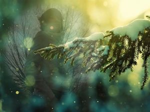 Image chosen by user