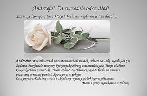 Obrazek wybrany przez użytkownika