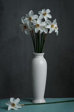 Image chosen by user