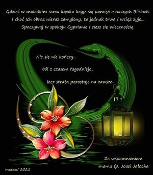 Image chosen by user